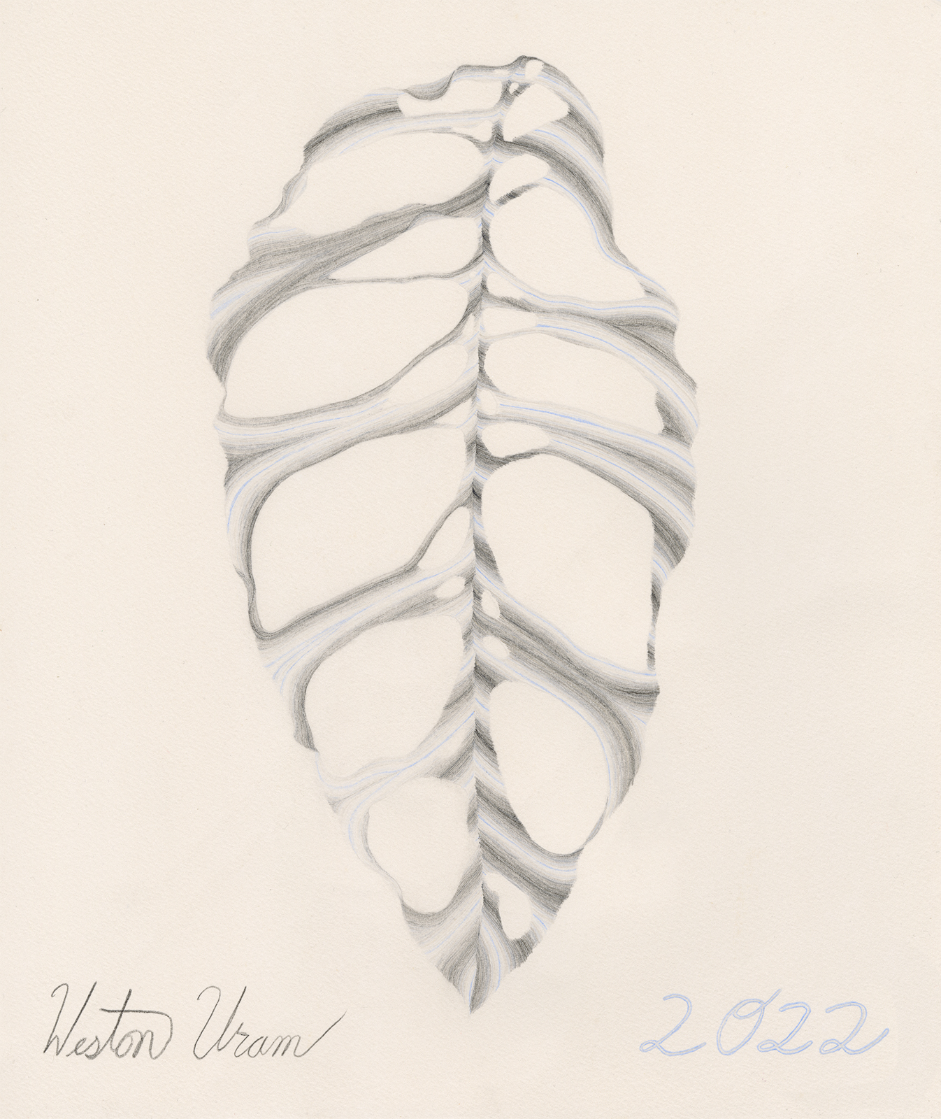 Large Monstera (Gray on Gray on Baby Blue)